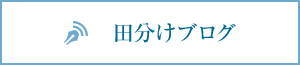 田分けブログ